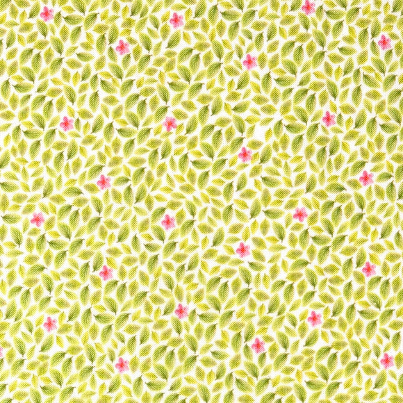 Light Green #5 - Cotton Calico